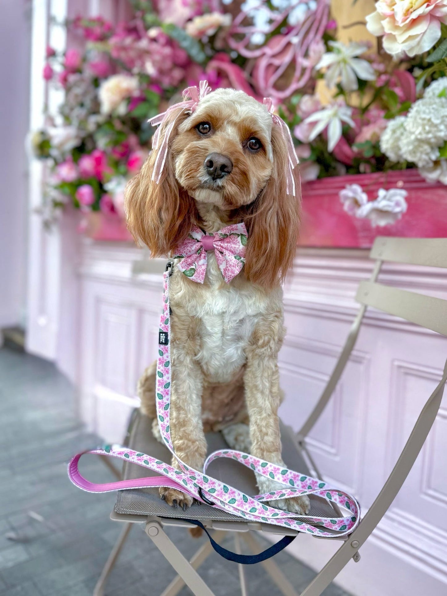 Pet Ribbon Bows
