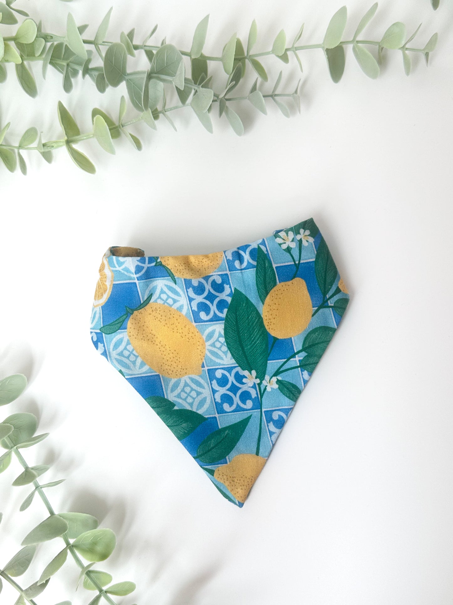 Spring - pet bandana