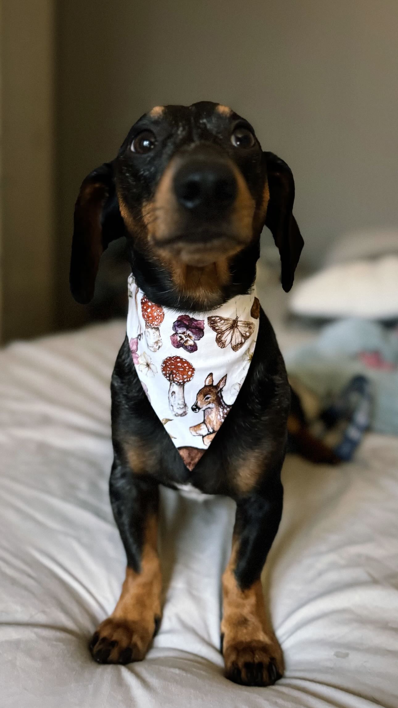 Bandanas