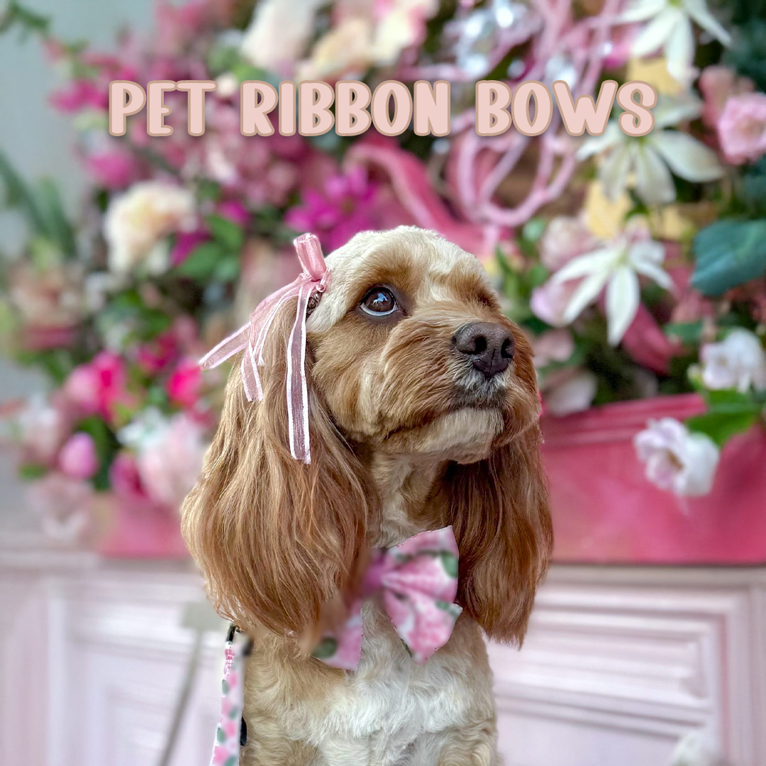 Pet Ribbon bows