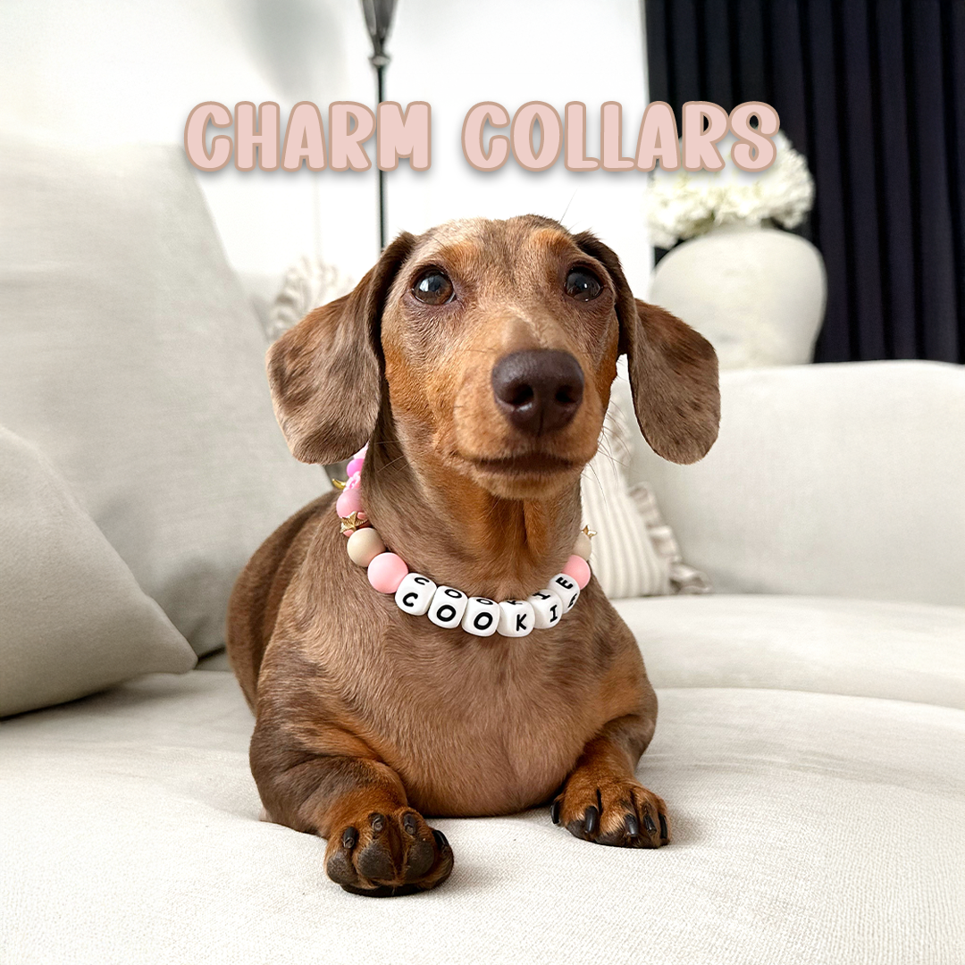 Charm collars