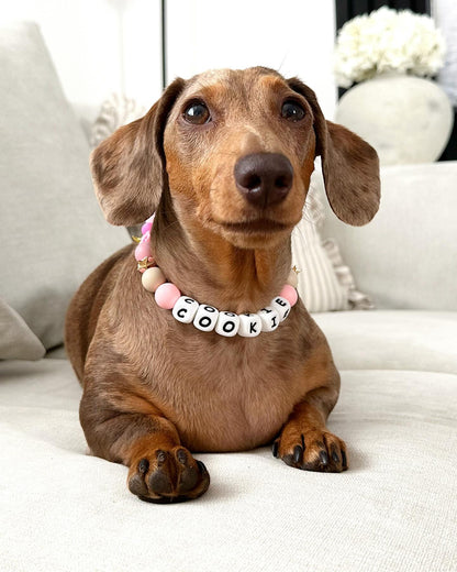 Cowboy - charm collar
