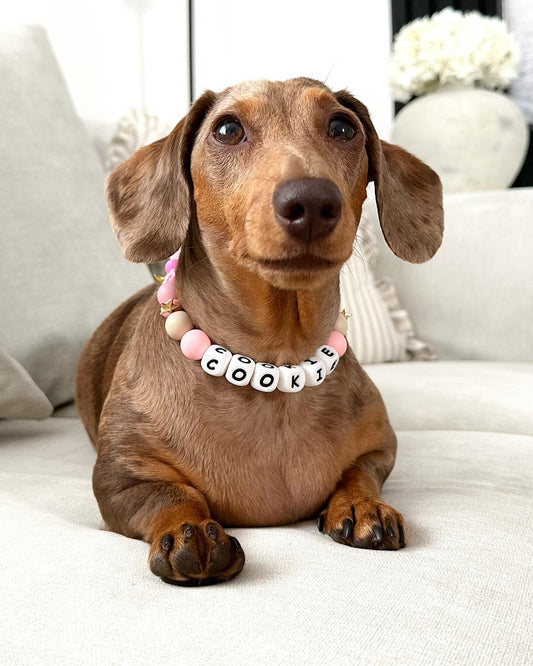 Cowboy - charm collar