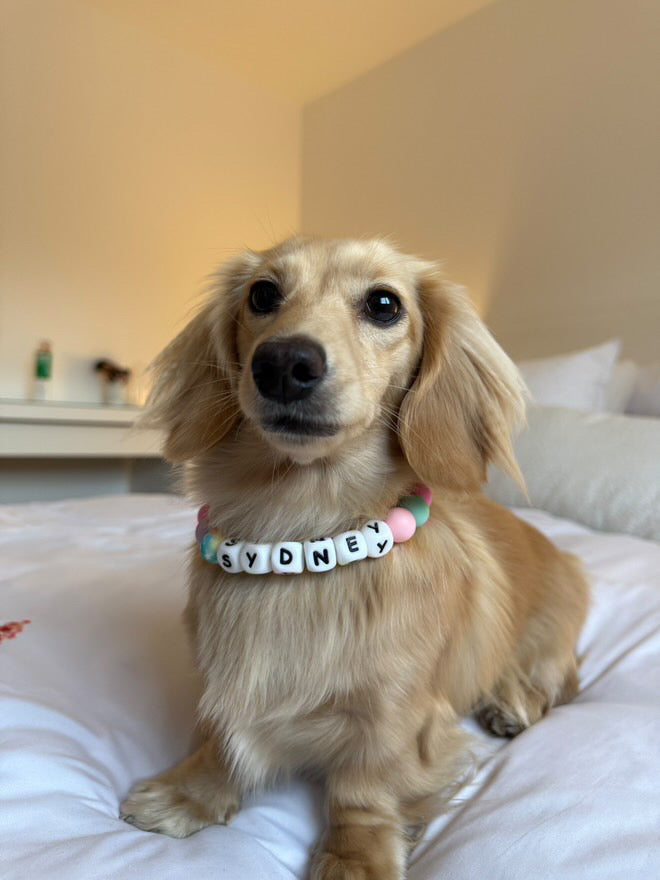 Cowboy - charm collar