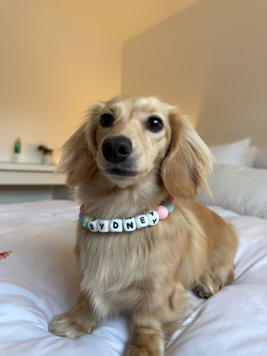 Summer - charm collar