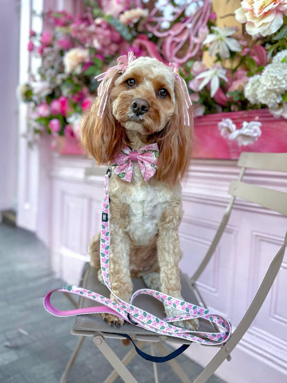 Pet Ribbon Bows