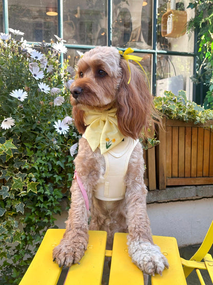 Pet Ribbon Bows