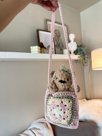 Teddy in a bag